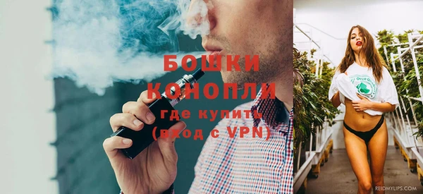 бошки Алексин