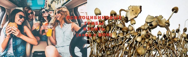 бошки Алексин