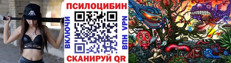 что такое   Бакал  Псилоцибиновые грибы Psilocybine cubensis 