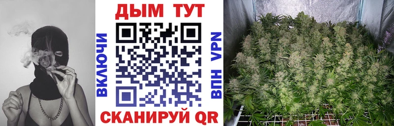 ссылка на мегу вход  Бакал  Шишки марихуана THC 21% 